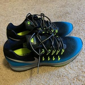 Nike Pegasus 33 Shield